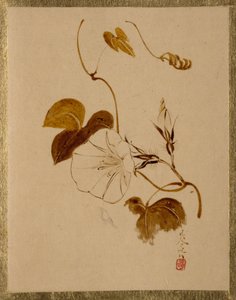 Praktvinda av Shibata Zeshin