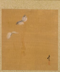 Moths från Album of Paintings av den ärevördiga Zeshin av Shibata Zeshin