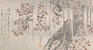 Cherry Blossoms in the Rain, 1800-talet., 1800-talet. av Shinsai