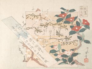 Design av skrivpapper med blommor, 1800-talet., 1800-talet.