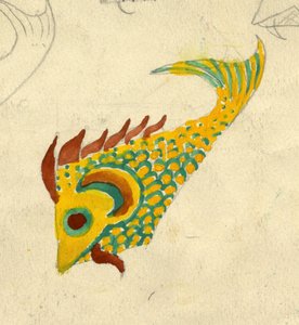 Fiskillustration, c1950. av Shirley Markham
