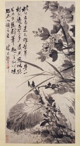 Hibiscus, Lotus och Rock, ca. 1705-7.