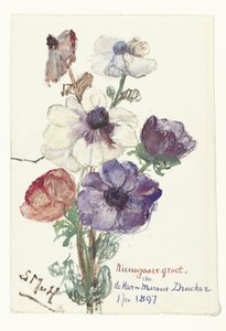 Nyårshälsningar med anemoner