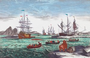 Valfångstflotta utanför Grönland på 1700-talet (gravyr)