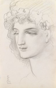 Studie av ett kranshuvud, 1867 av Simeon Solomon