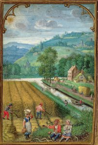 Lägg till 18855 september: skörd, plöjning och sådd, från en timbok, ca 1540