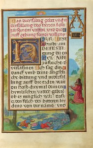 Rand mit David, der Gott anfleht, die Pest zu beenden av Simon Bening
