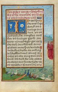 Bordüre mit der Erschaffung von Vögeln und Fischen av Simon Bening