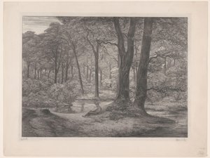 Skog med damm och liggande man Teutoburgerskogen (skogsvy) (originaltitel)