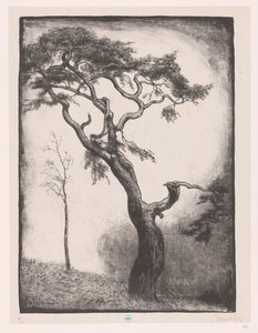 tall av Simon Moulijn (signed by artist)