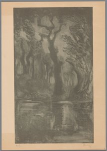 Vatten i skogen Dream Forest (originaltitel) av Simon Moulijn (signed by artist)