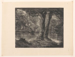 Vatten i en skog Forest View (originaltitel) av Simon Moulijn (signed by artist)