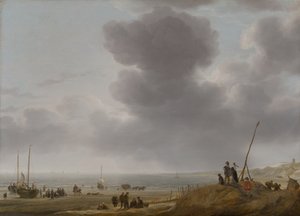 Strandvy av Simon de Vlieger