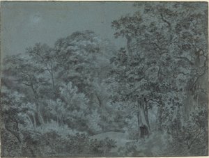 I Haagskogen av Simon de Vlieger