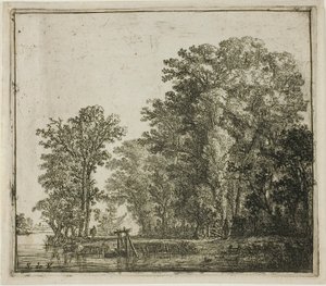 Skog nära en kanal av Simon de Vlieger