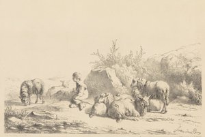 Herde och får