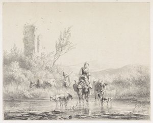 Kvinna på åsnan och hennes flock