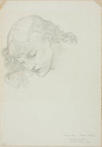 Head, Studie för Mirror of Venus