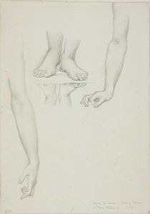 Studie för Mirror of Venus: Arms and Feet of Venus