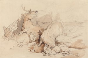 Hundar och jägare som attackerar rådjur