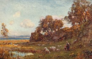 Skyddade betesmarker, c1900