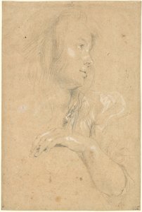 Ung kvinna i profil av Sir Peter Paul Rubens