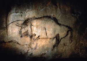 Bison i Salon Noir i Niaux-grottan