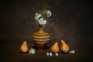 Rustikt stilleben med blommor av Siyu_Wei APA