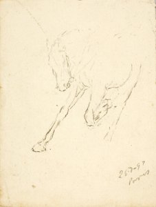Häst av Solon H. Borglum