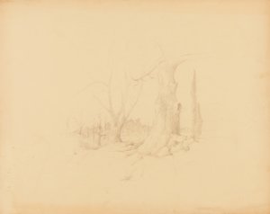 Landskap av Solon H. Borglum