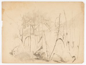 Landskap av Solon H. Borglum