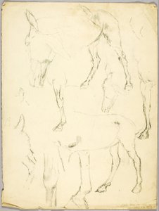 Porträttstudie, Häststudie av Solon H. Borglum