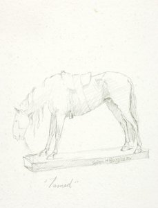 Tämjd av Solon H. Borglum
