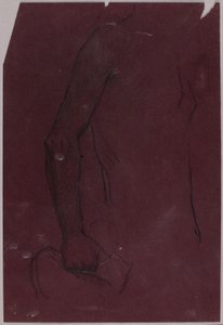 Torso, studie till ryttarmonument