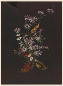 Höstbukett, ca. 1890
