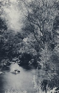 A Fairy Scene, nära Witpoortje (s/v foto) av South African Photographer