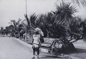 Köra Rickshaws på Bay Esplanade, Durban (eller/och foto) av South African Photographer