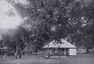 Mitchell Park, Durban (s/v foto) av South African Photographer