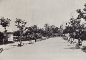 Cadiz: Alameda de Apodaca (s/v foto)