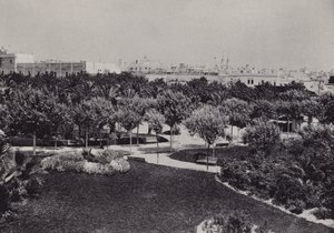 Cadiz: Parque Genoves (s/v foto) av Spanish Photographer