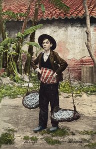 Fiskförsäljare, Malaga, Spanien (färgfoto) av Spanish Photographer