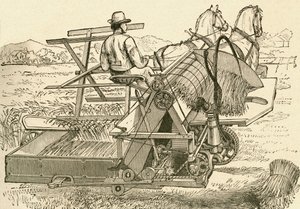 En skördemaskin, dragen av hästar, som band majskärvarna mekaniskt, använd i slutet av 1800-talet. Från El Museo Popular publicerade Madrid av Spanish School