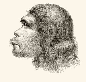 Head of a Neanderthal Man, från 