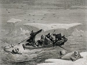 Jaga valross med harpuner på Spetsbergen, Svalbards skärgård, illustration från 