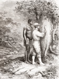 Jules Crevaux, under sin utforskning av Franska Guyana 1878, ristade sina initialer på ett träd på stranden av floden Oyapock eller Oiapoque av Spanish School