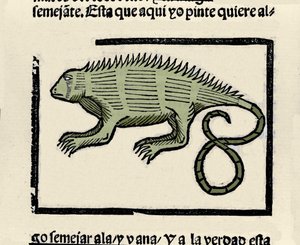 Representation av en leguan. Gravyr från boken "Indiens, öarnas och fastlandets allmänna historia" av Gonzalo Fernandez de Oviedo (Gonzalo) eller Fernandez de, ou Hernandez de Oviedo y Valdes (1478-1557) av Spanish School