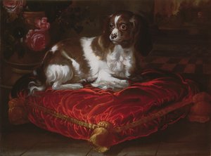 Spaniel på en kudde av Spanish School