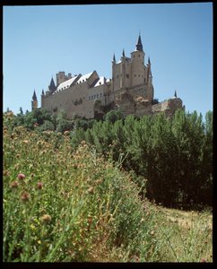 Utsikt över alcazar av Spanish School