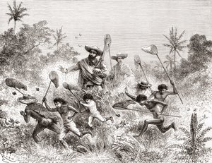 Édouard François André fångar fjärilar i Villavicencio, Venezuela under sin botaniseringsexpedition vid foten av Anderna 1875-76 av Spanish School