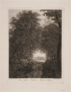 Skogsväg av Søren Henrik Petersen